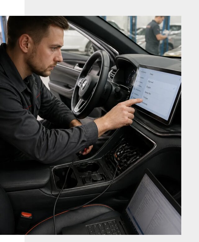Профессиональная русификация BYD SONG Plus в Добрянке